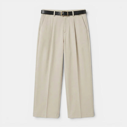 Men's Trousers Pleated Straight Leg Tailored Fit Cotton