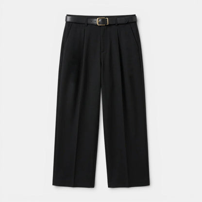 Men's Trousers Pleated Straight Leg Tailored Fit Cotton