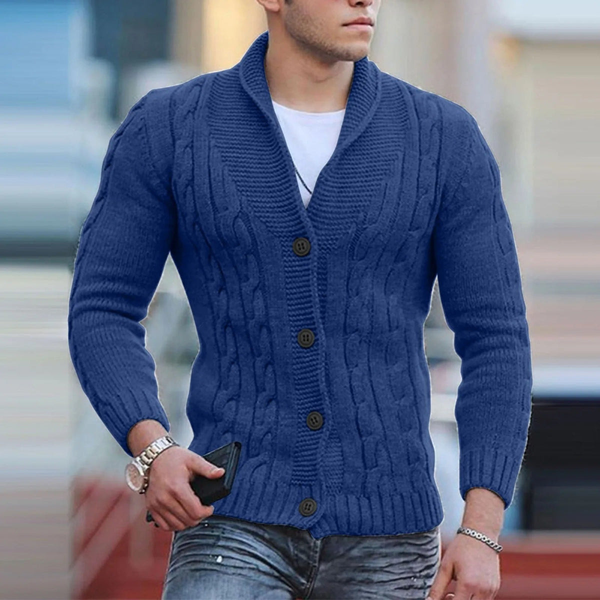 Pullover Herren | Zopfmuster & Schalkragen