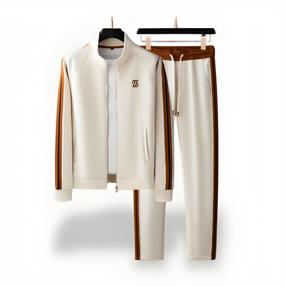 Men's Tracksuit Set 2 Piece Stripe Design Stand Collar