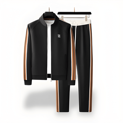 Men's Tracksuit Set 2 Piece Stripe Design Stand Collar